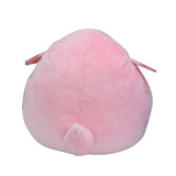 Chansey (Fit)