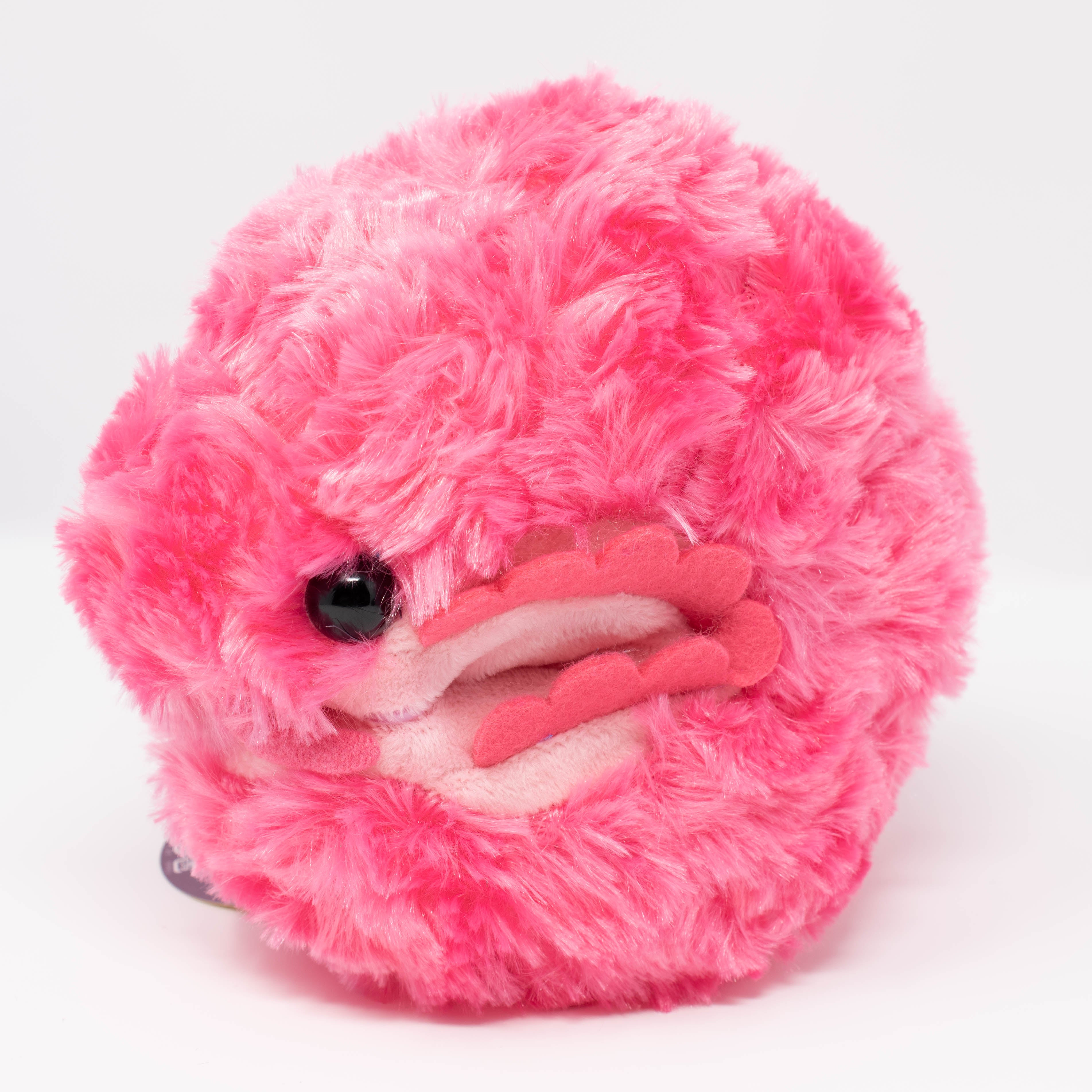 Pillbug/Isopod - Fluffy - Rolled (Small)