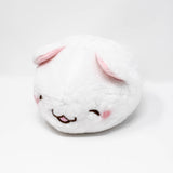Fuwafuwa Kittens (Small)