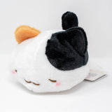 Fuwafuwa Kittens (Small)