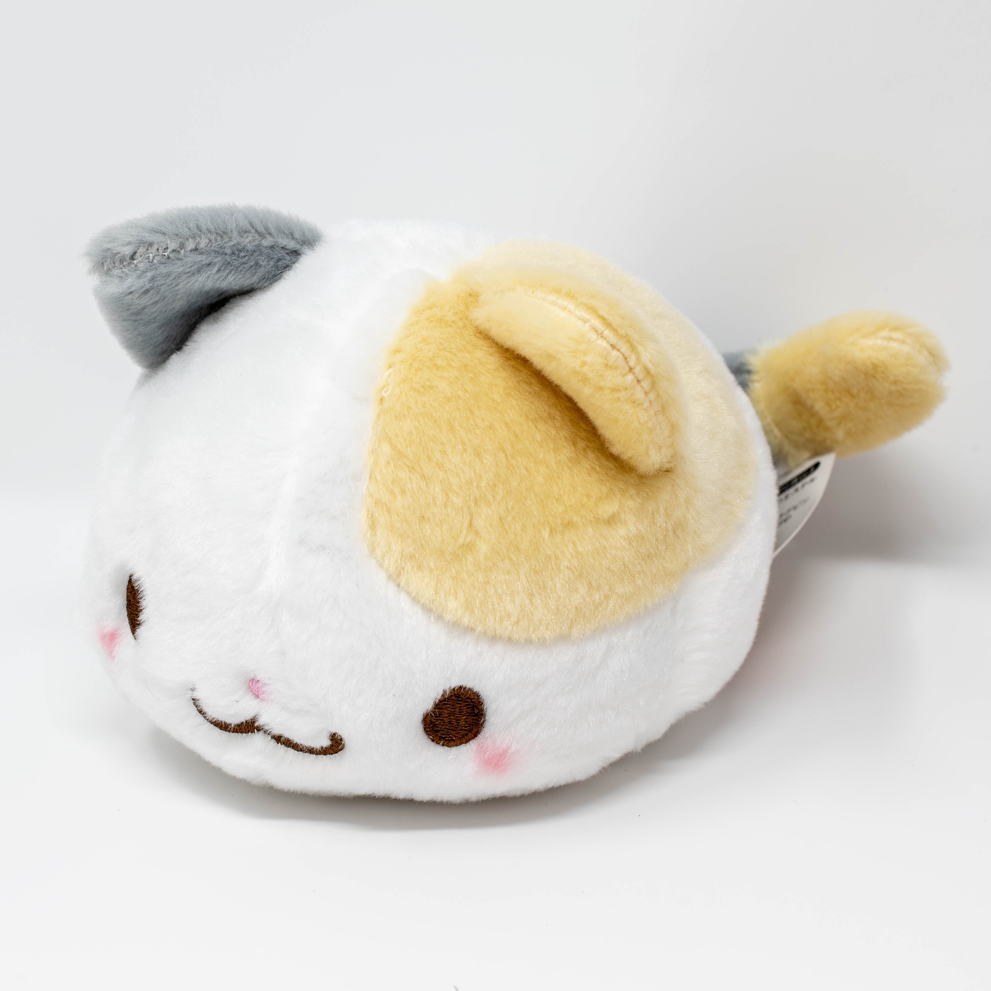 Fuwafuwa Kittens (Small)