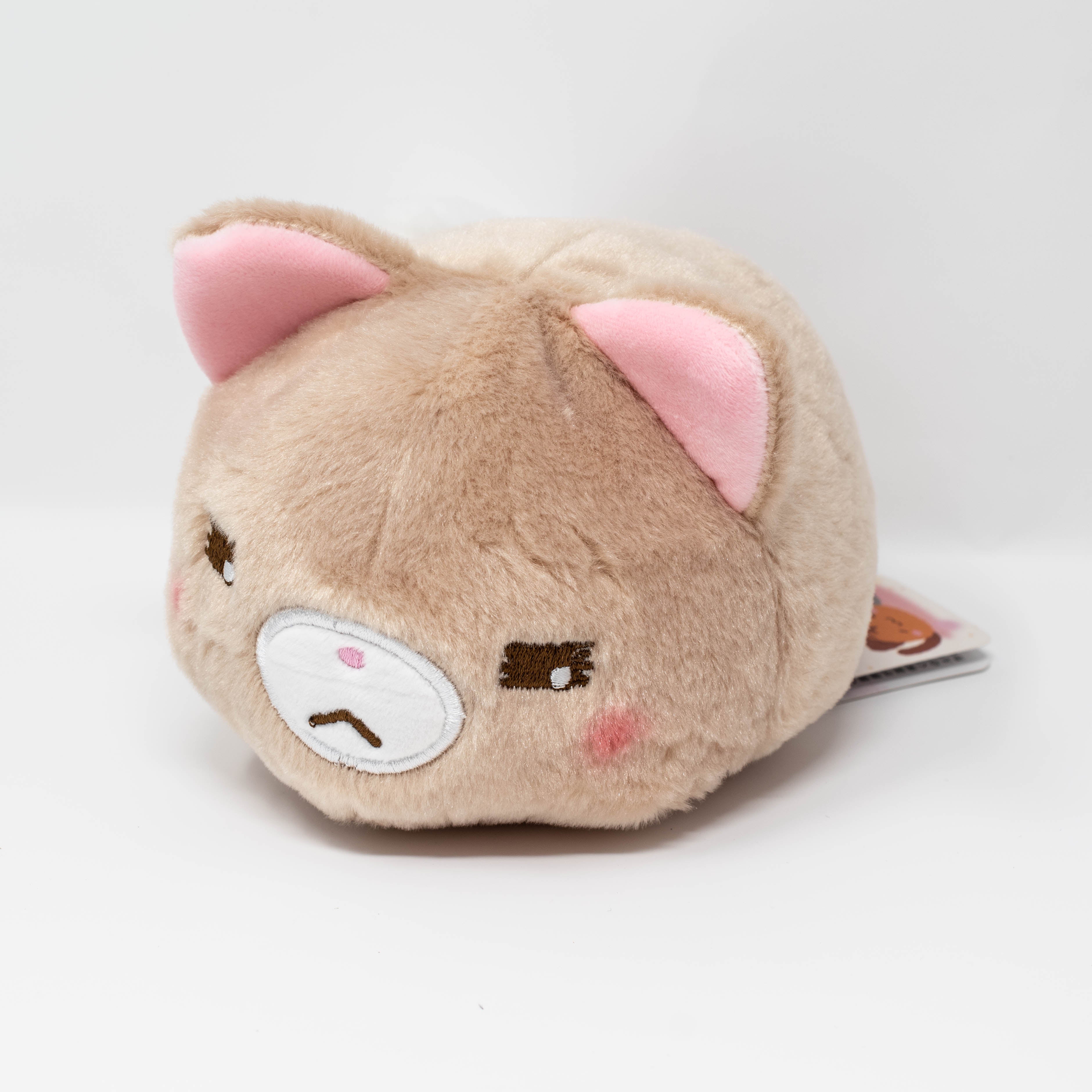 Fuwafuwa Kittens (Small)