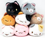 Fuwafuwa Kittens (Small)