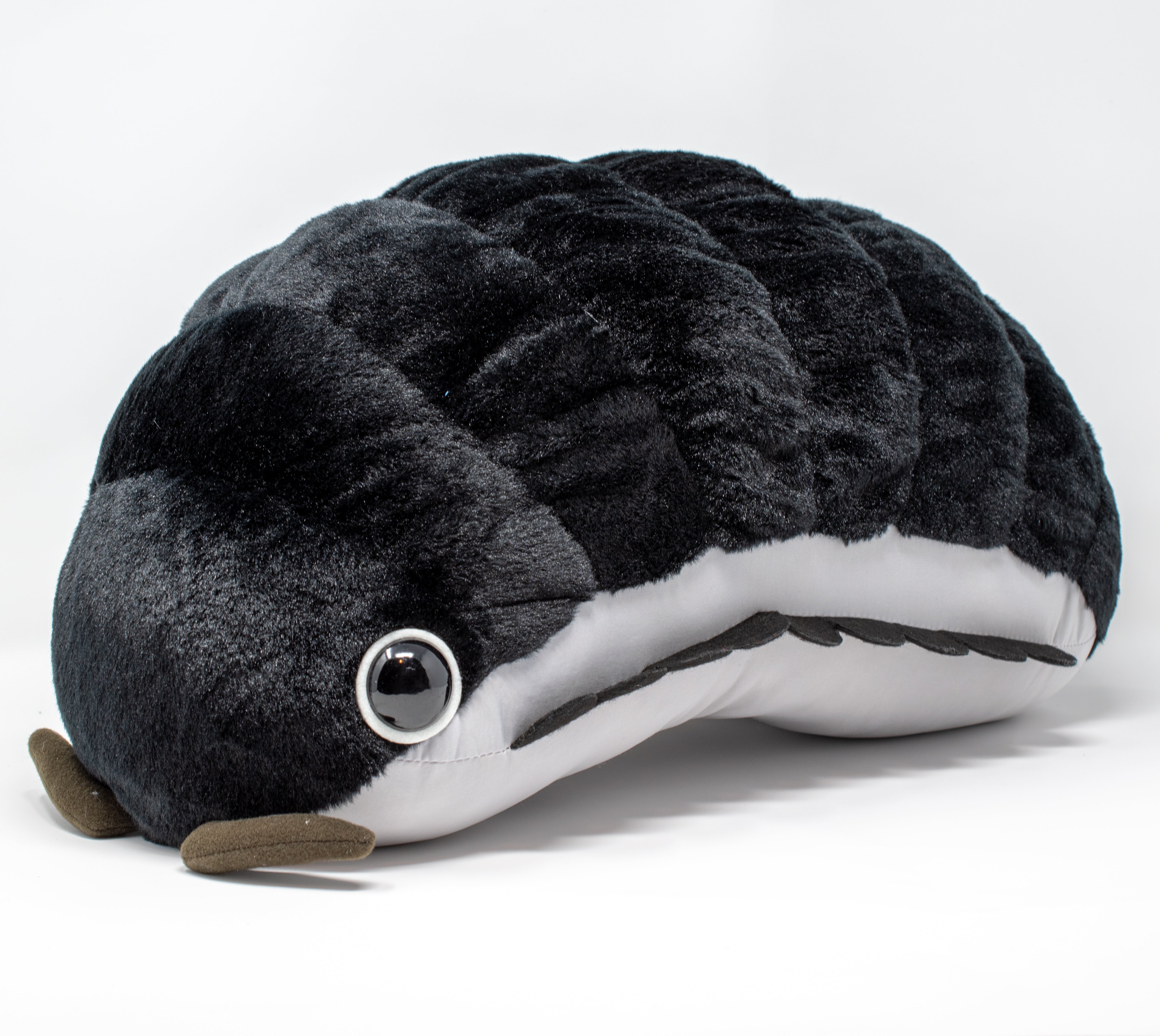 Pillbug/Isopod - Black (Large)