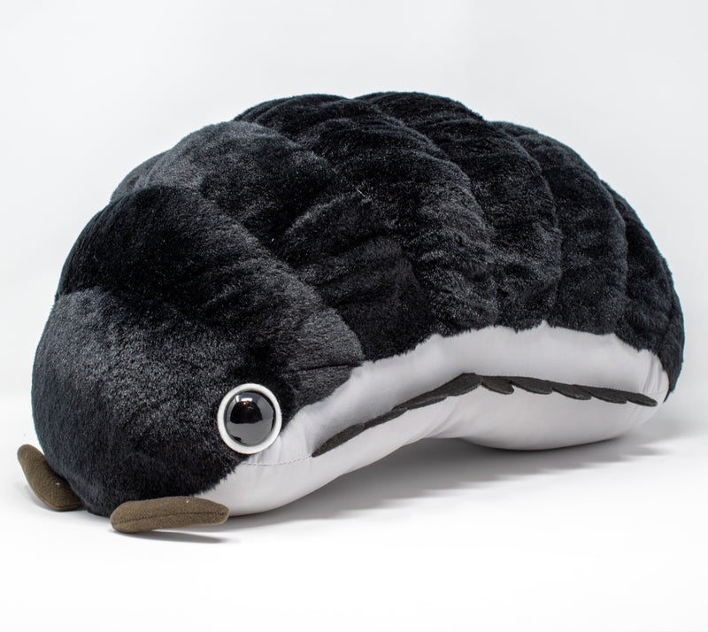 Pillbug/Isopod - Black (Large)