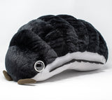 Pillbug/Isopod - Black (Large)