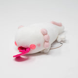Axolotl Dinner Time! (Small)