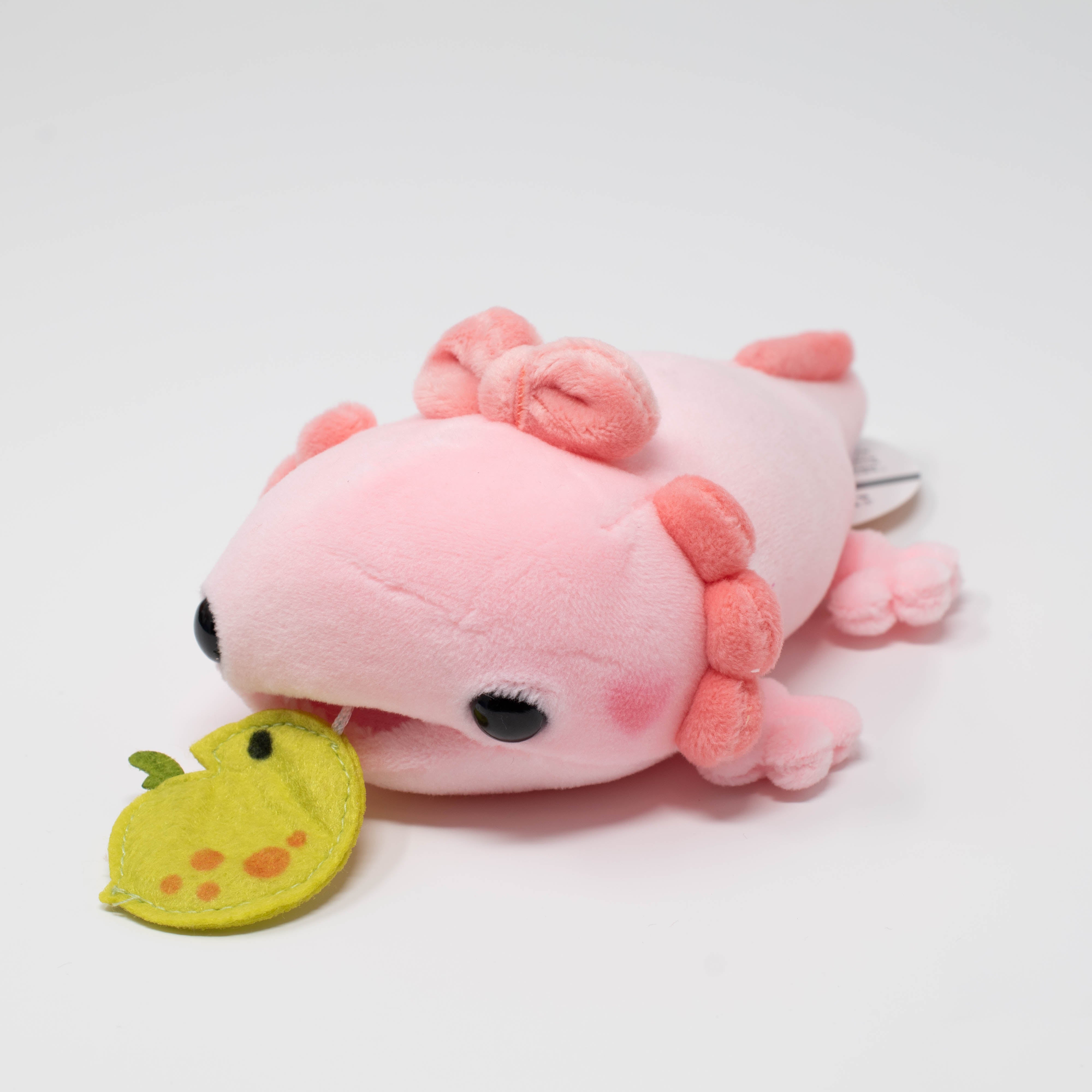 Axolotl Dinner Time! (Small)