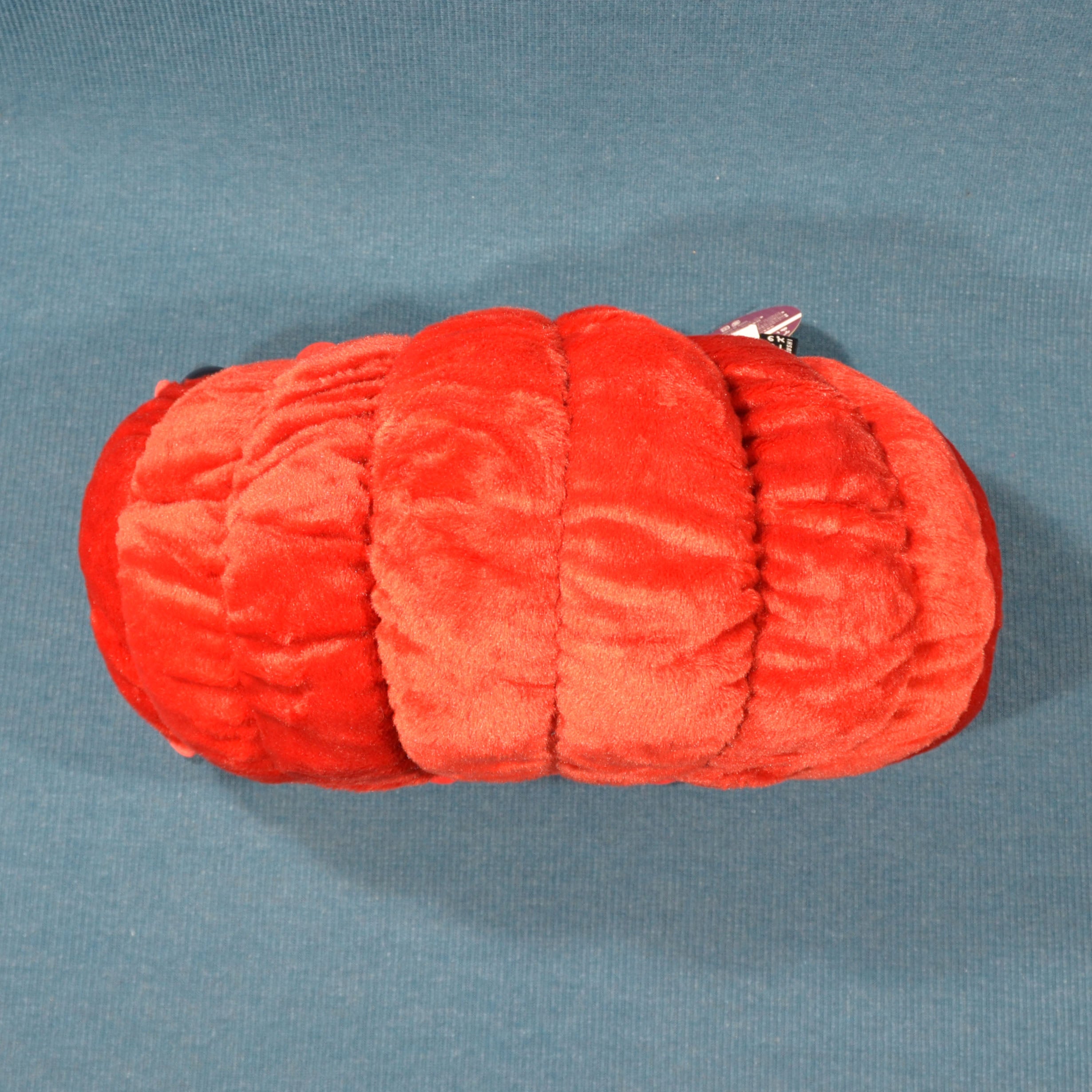 Pillbug/Isopod - Red (Large)