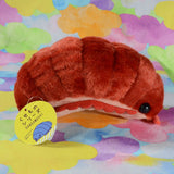 Pillbug/Isopod (Small)