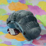 Pillbug/Isopod (Small)