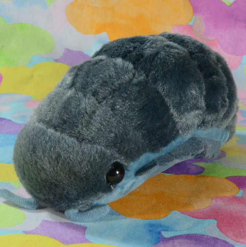 Pillbug/Isopod (Small)