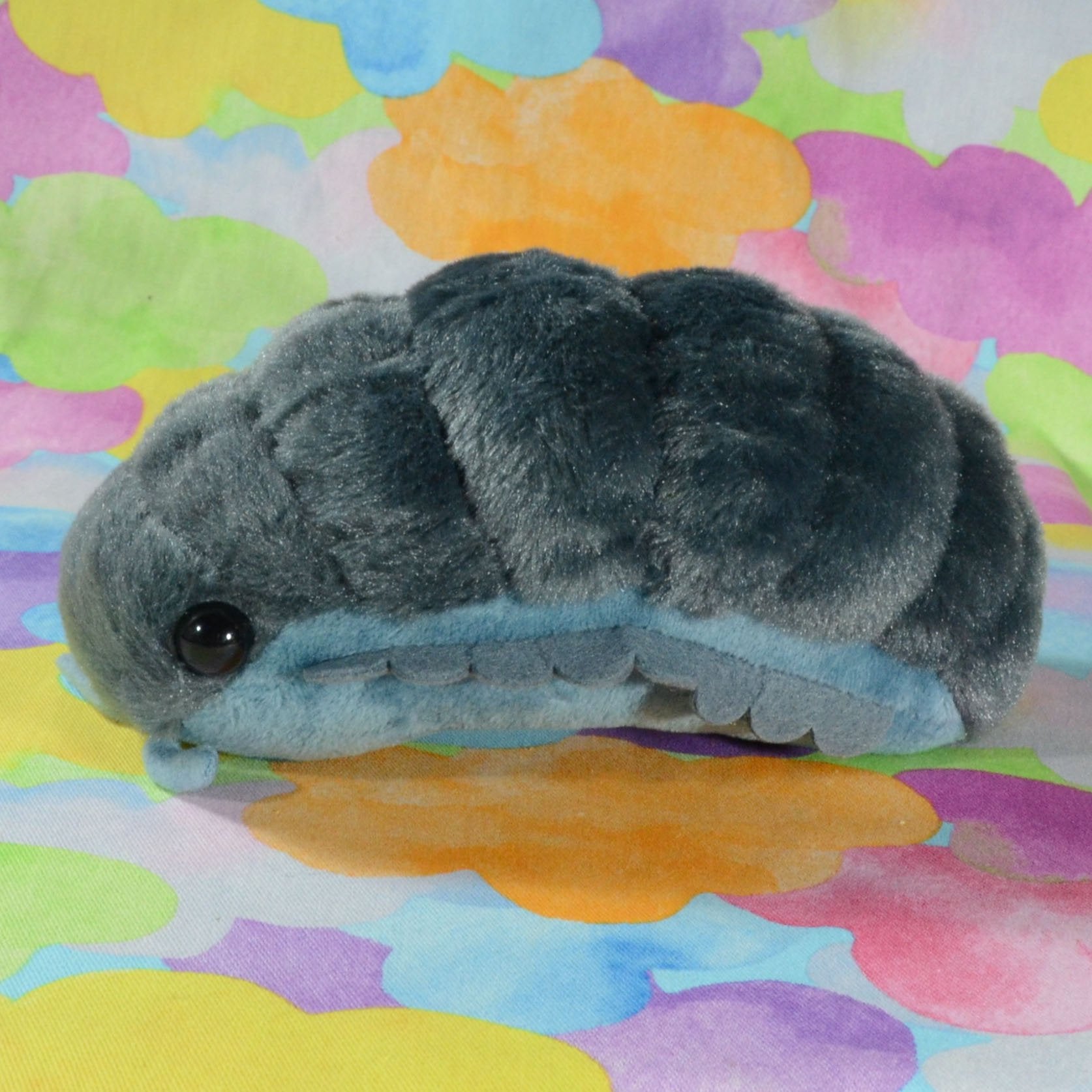 Pillbug/Isopod (Small)