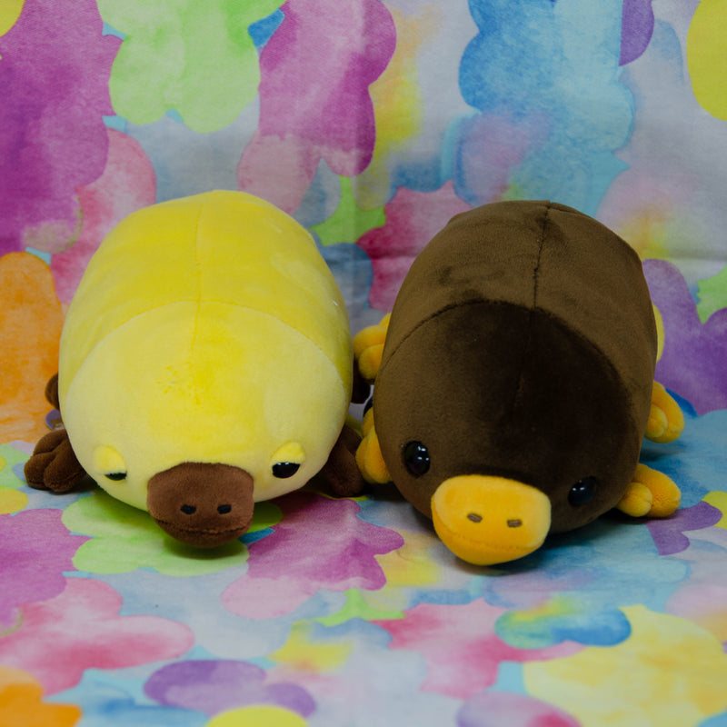 Platypuses (Small)