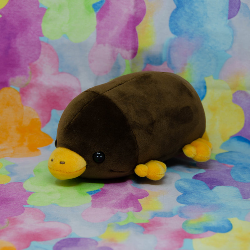 Platypuses (Small)
