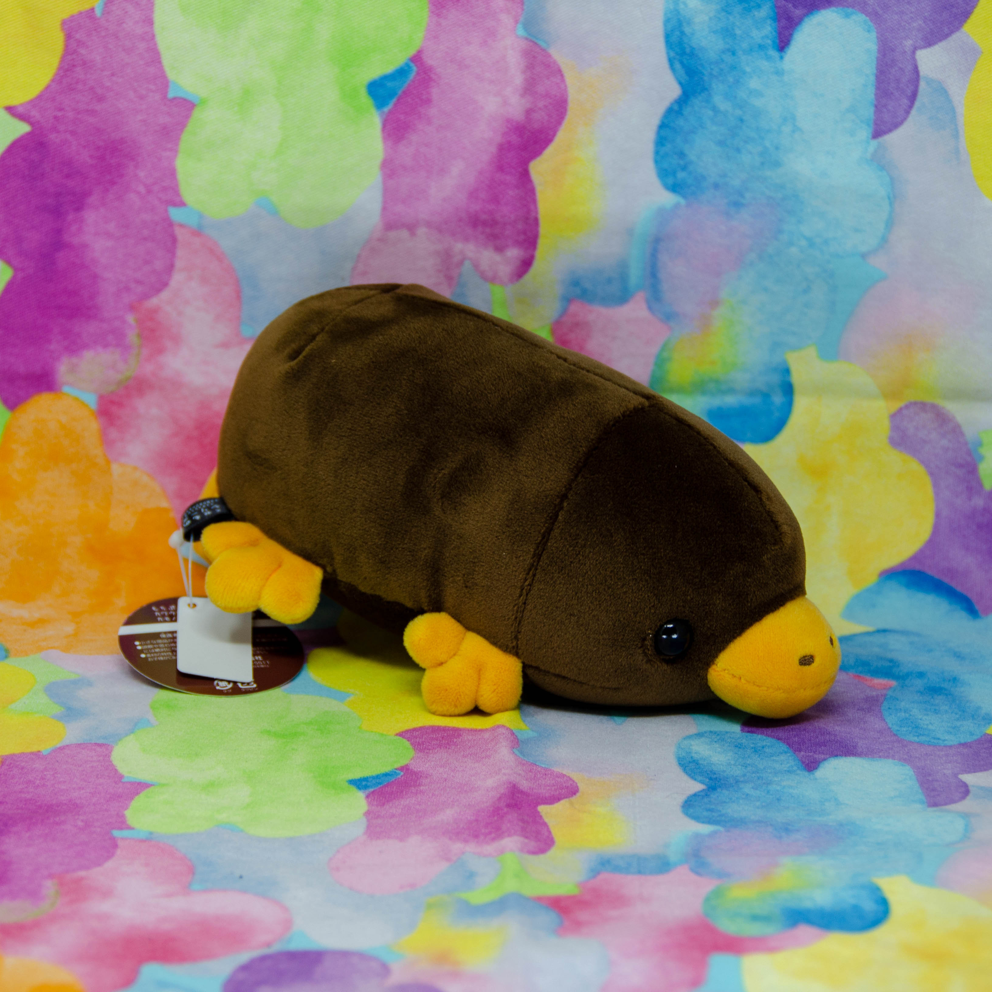 Platypuses (Small)