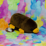 Platypuses (Small)