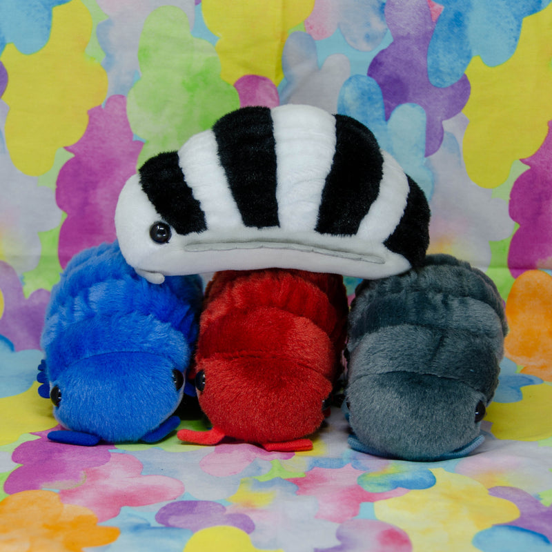 Pillbug/Isopod (Small)