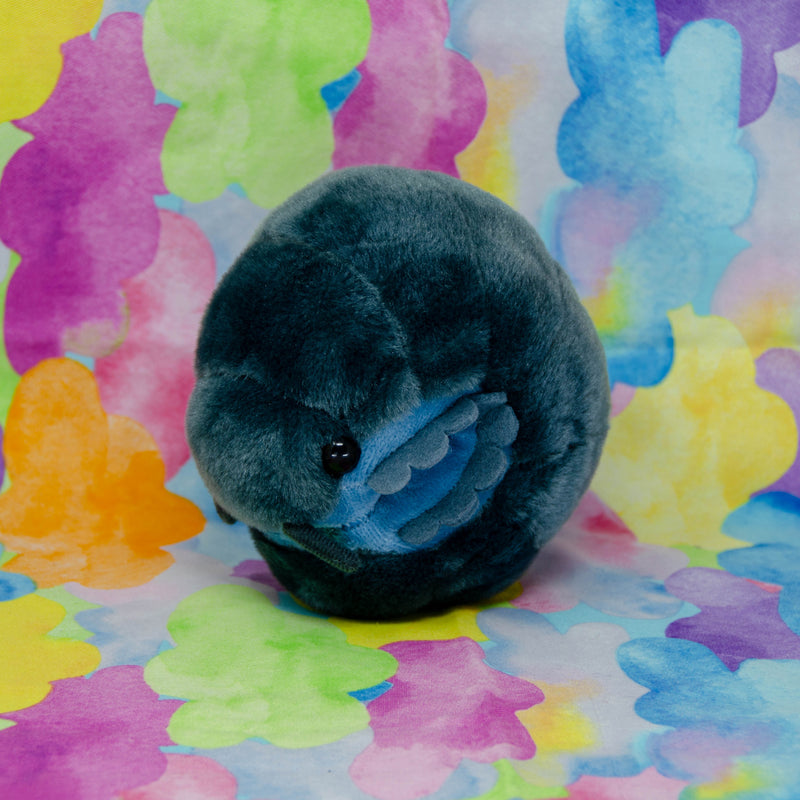 Pillbug/Isopod - Rolled (Small)