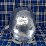 Pillbug/Isopod - Shiny - Silver (Large)