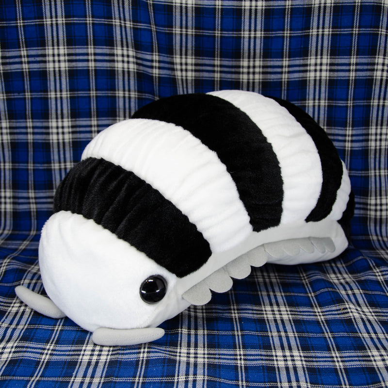 Pillbug/Isopod - Zebra Stripe (Large)