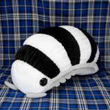 Pillbug/Isopod - Zebra Stripe (Large)