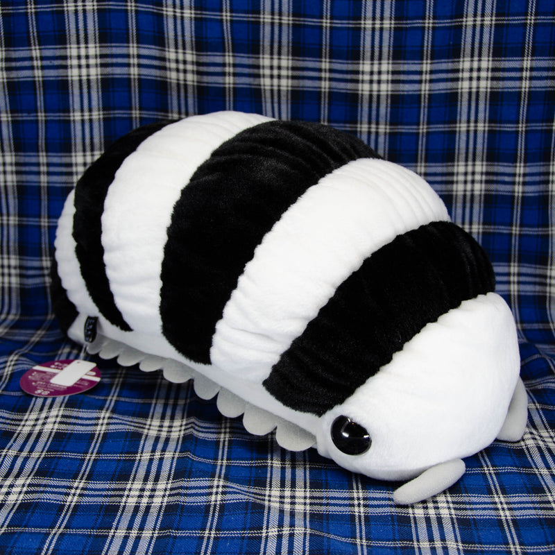 Pillbug/Isopod - Zebra Stripe (Large)