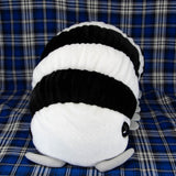 Pillbug/Isopod - Zebra Stripe (Large)