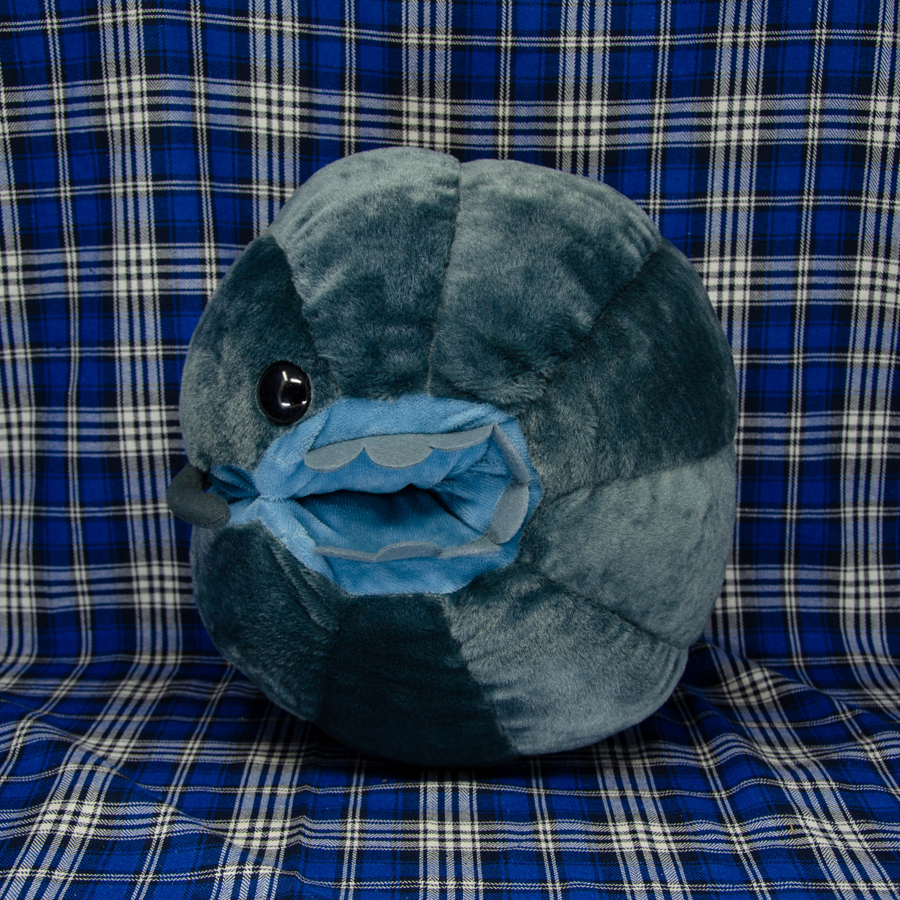 Pillbug/Isopod - Rolled - Dark Grey (Large)