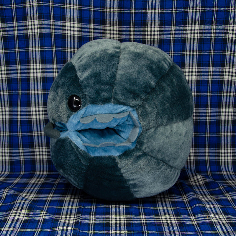 Pillbug/Isopod - Rolled - Dark Grey (Large)