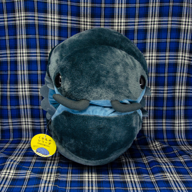 Pillbug/Isopod - Rolled - Dark Grey (Large)