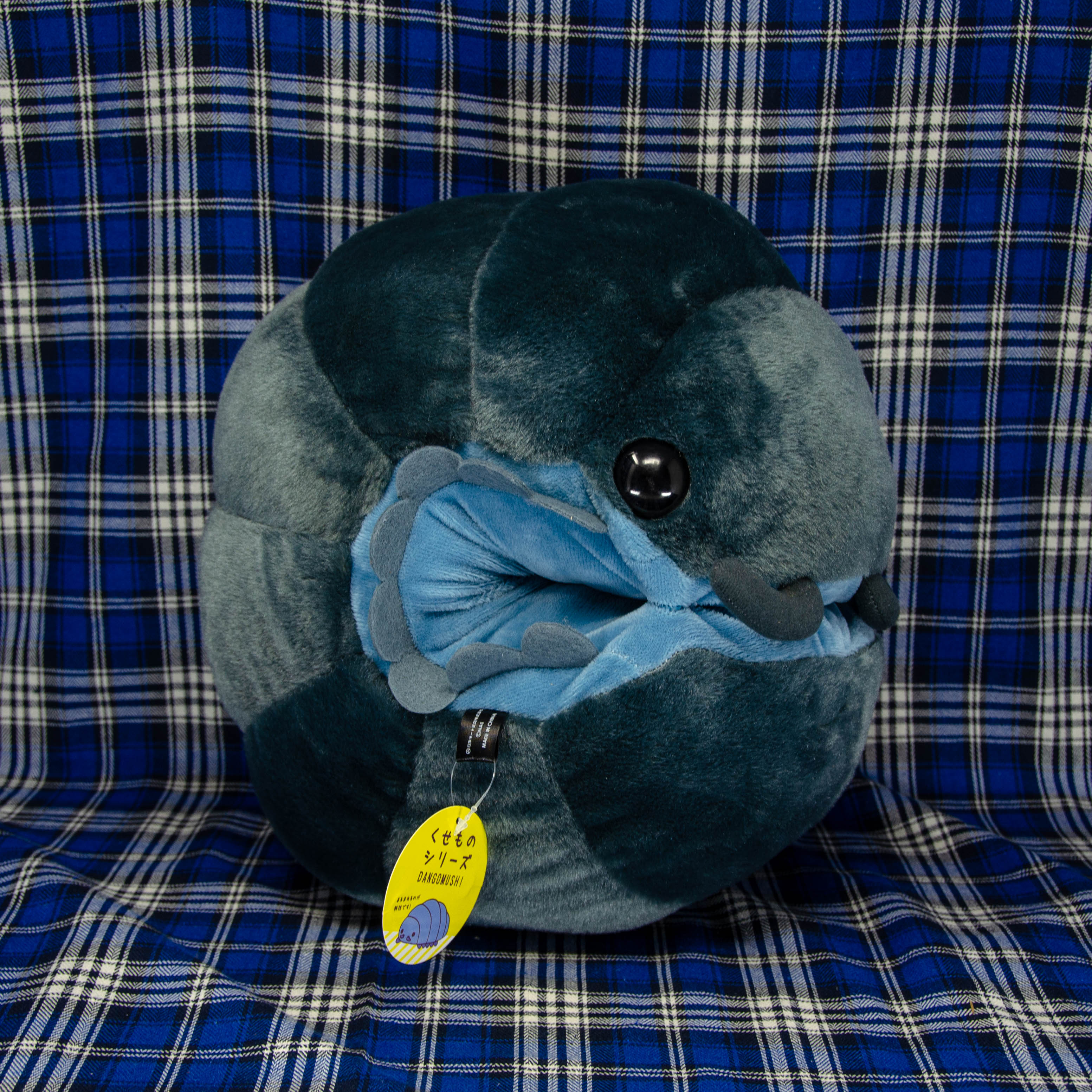 Pillbug/Isopod - Rolled - Dark Grey (Large)