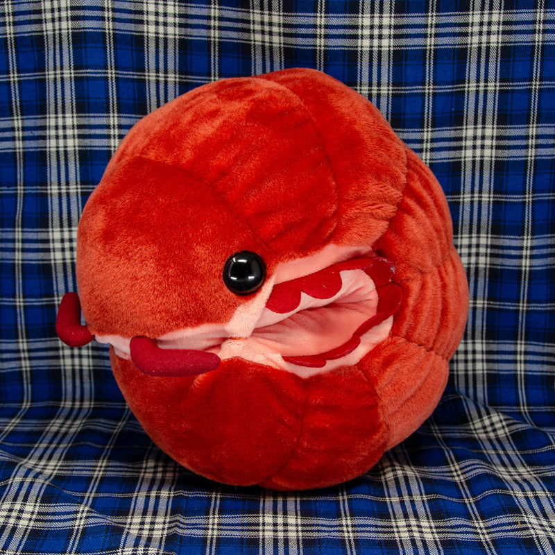 Pillbug/Isopod - Rolled - Red (Large)