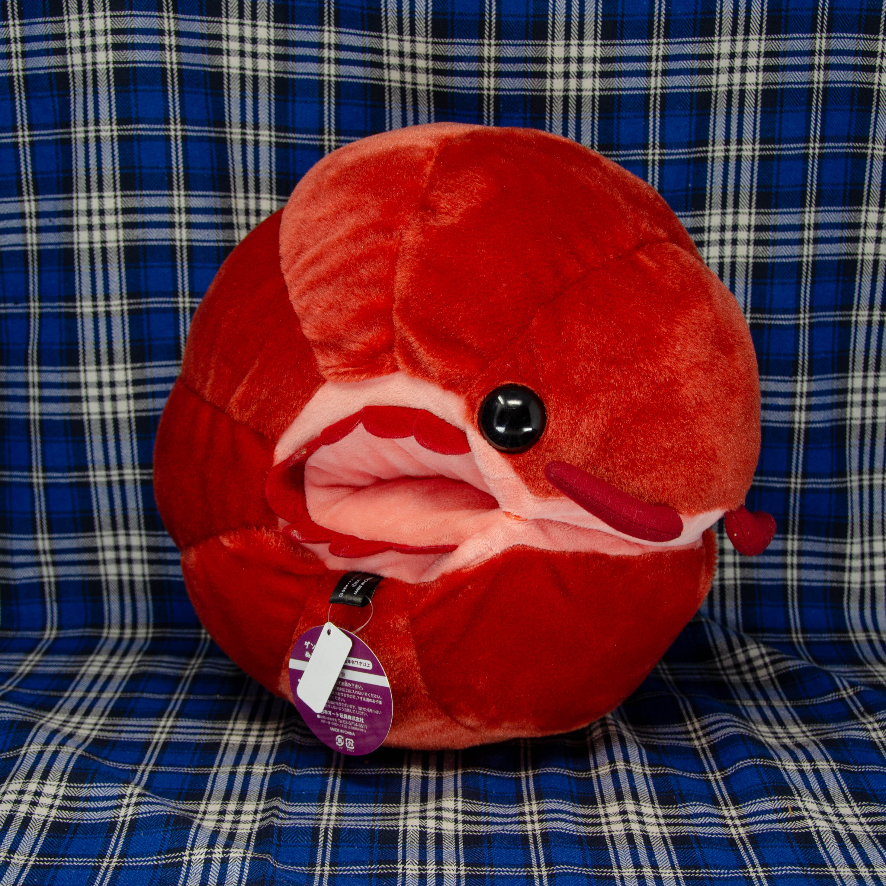 Pillbug/Isopod - Rolled - Red (Large)