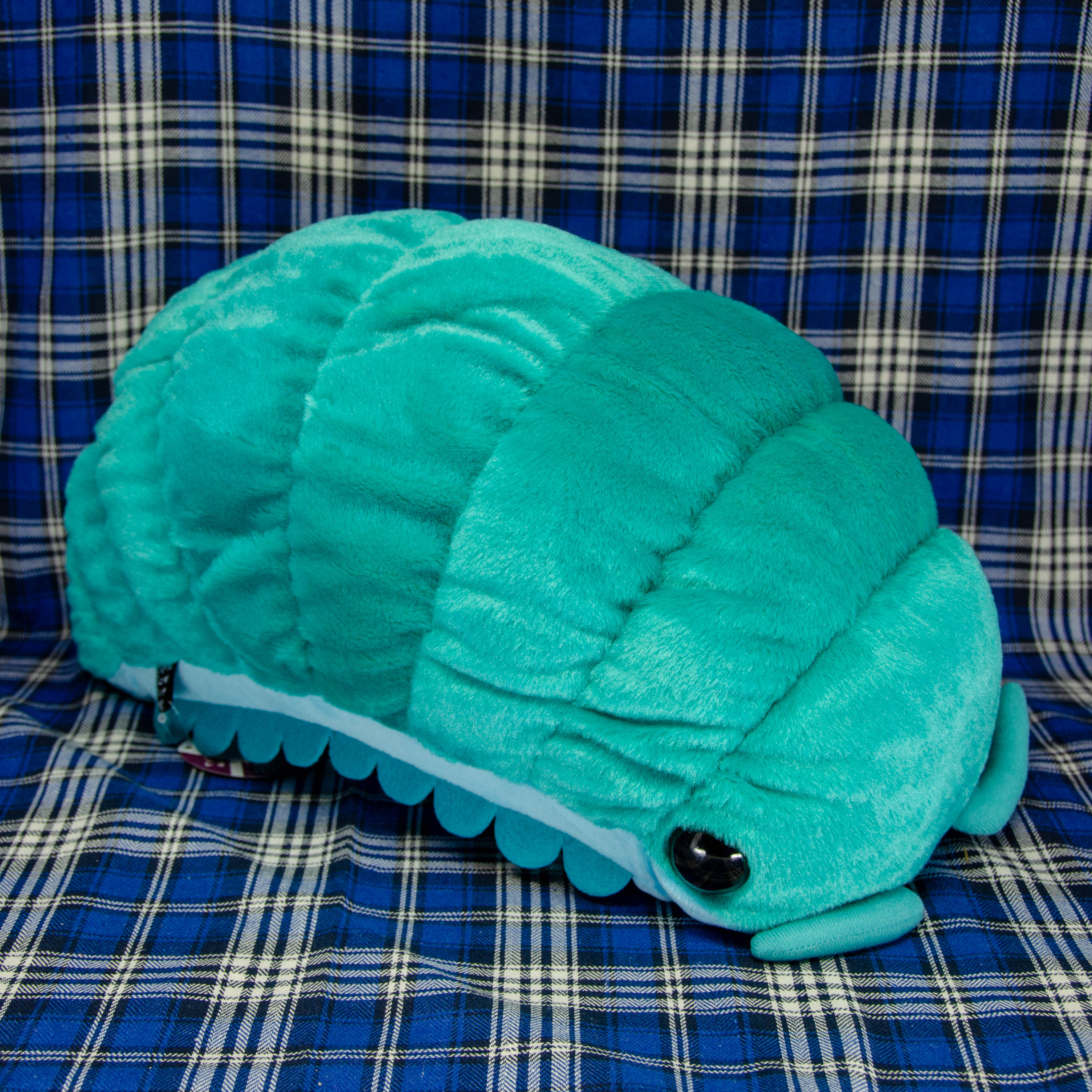 Pillbug/Isopod - Turquoise (Large)