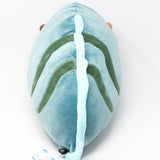 Moray Eel - Teal (Large)