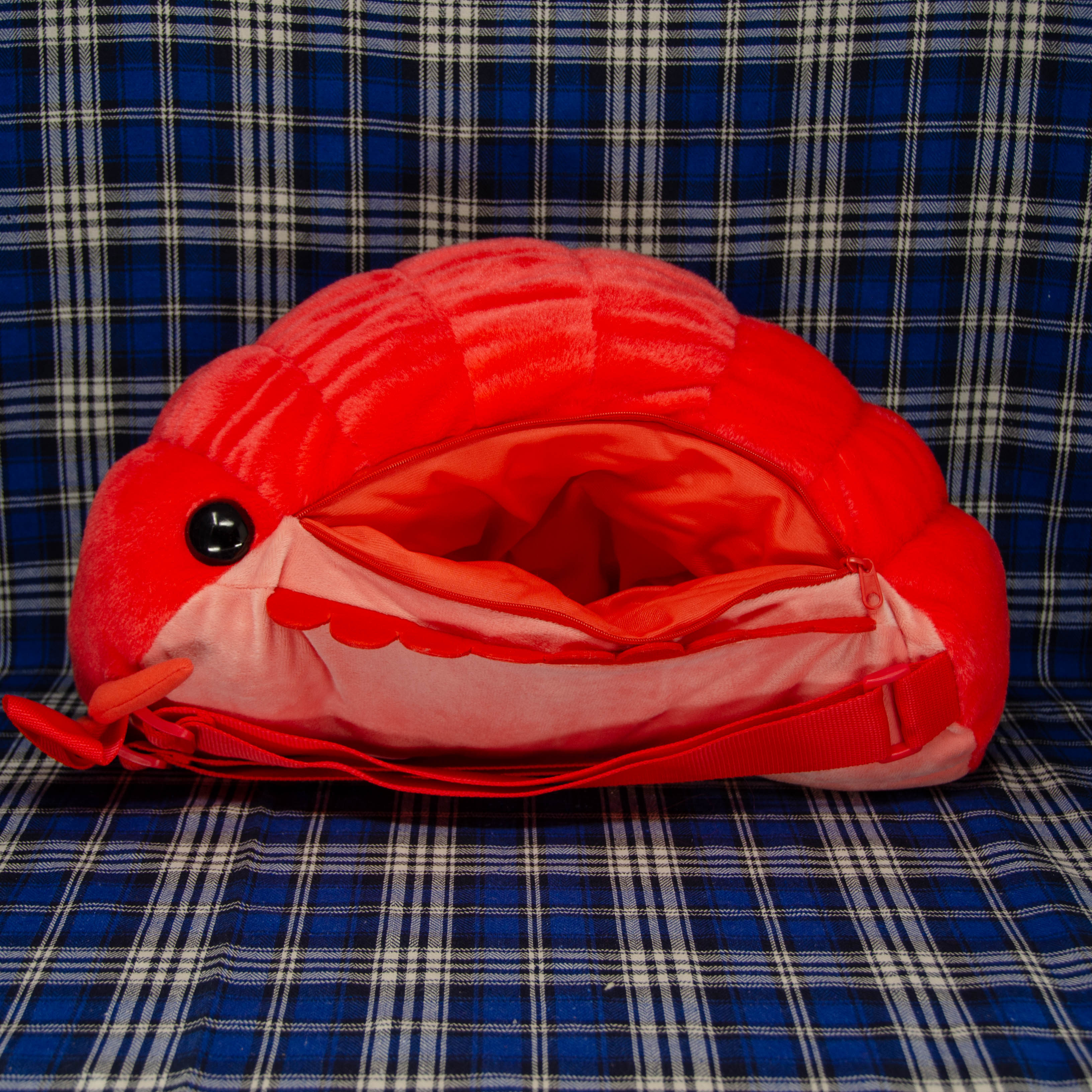 Pillbug Large Backpack with Dual Straps