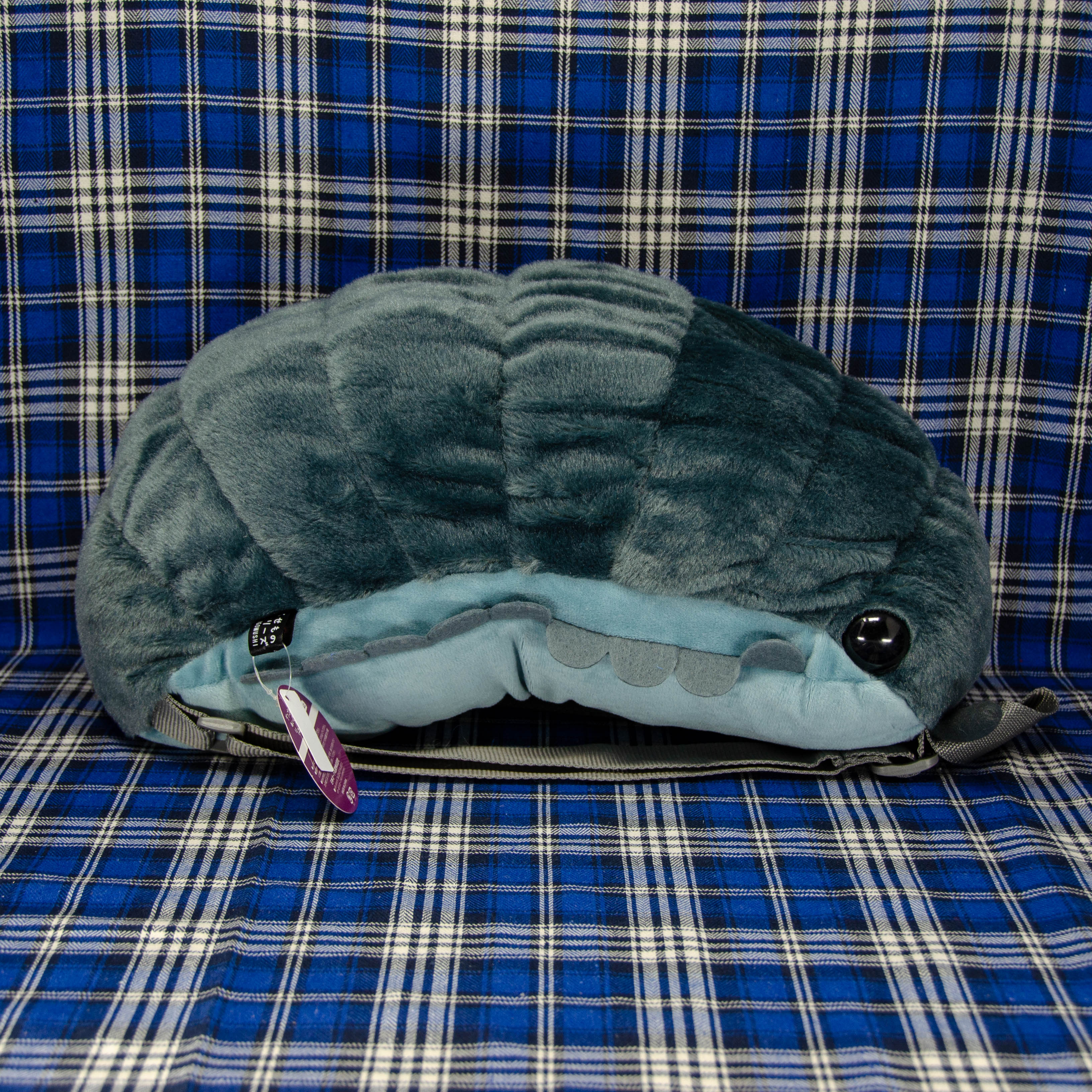 Pillbug Large Backpack with Dual Straps