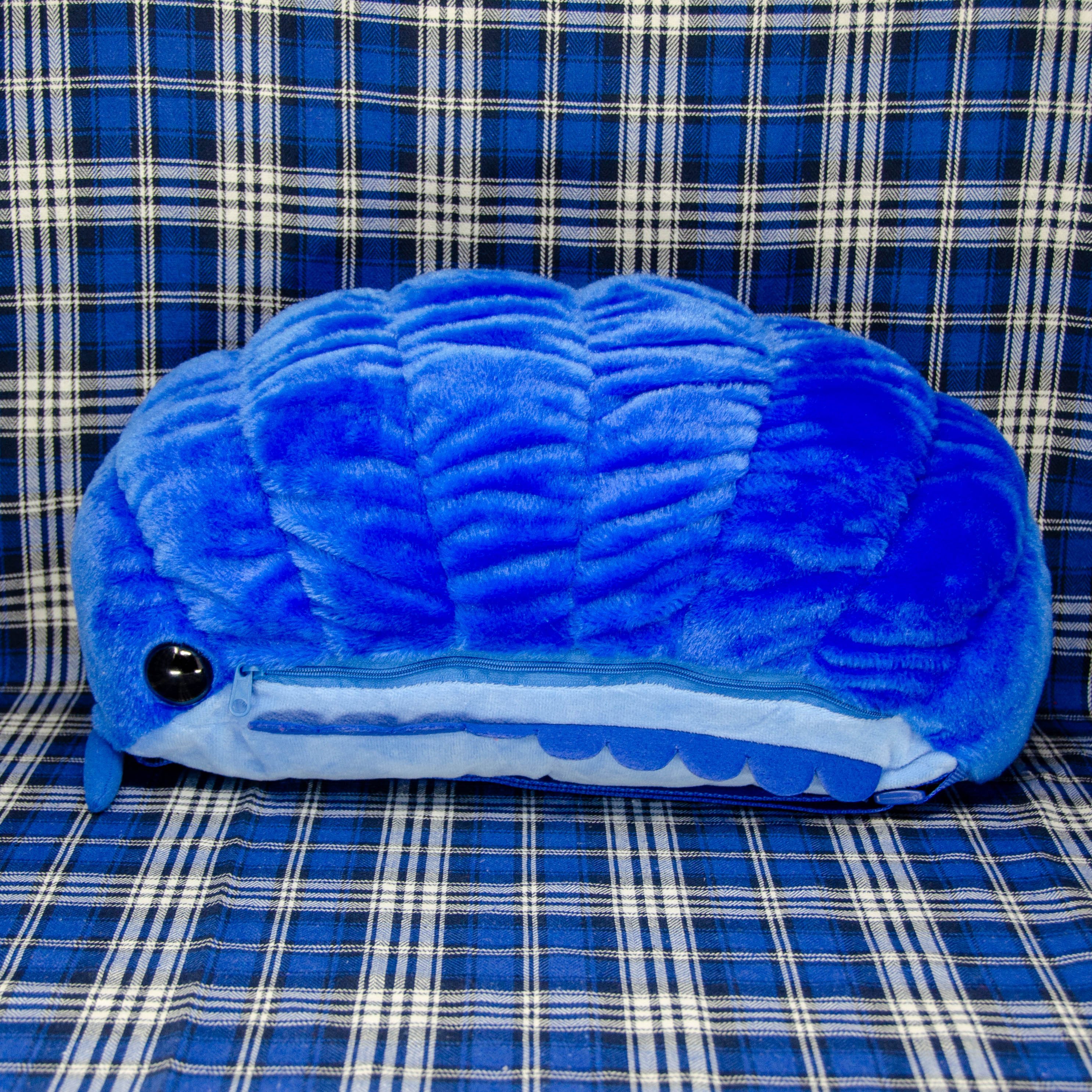 Pillbug Large Backpack with Dual Straps