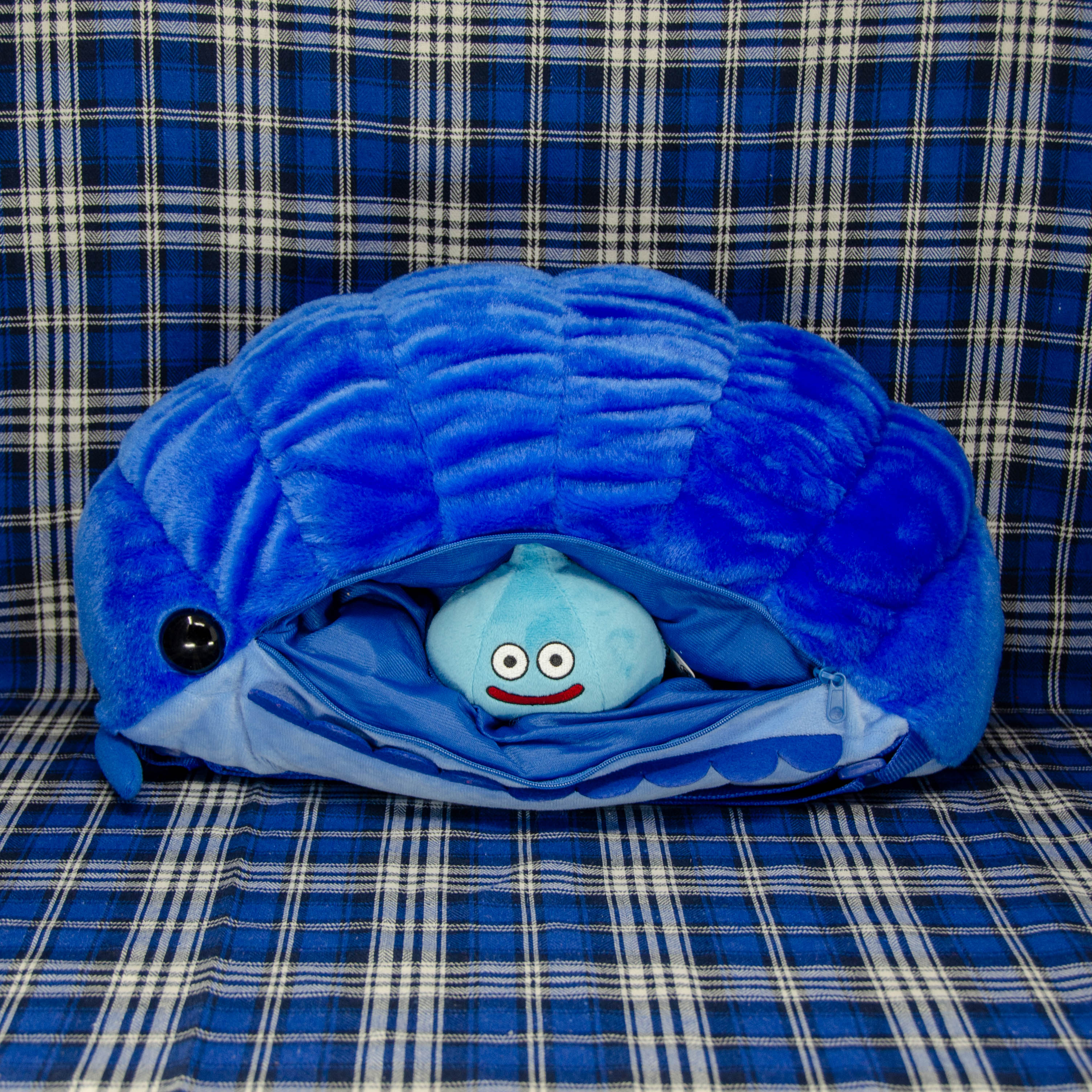 Pillbug Large Backpack with Dual Straps