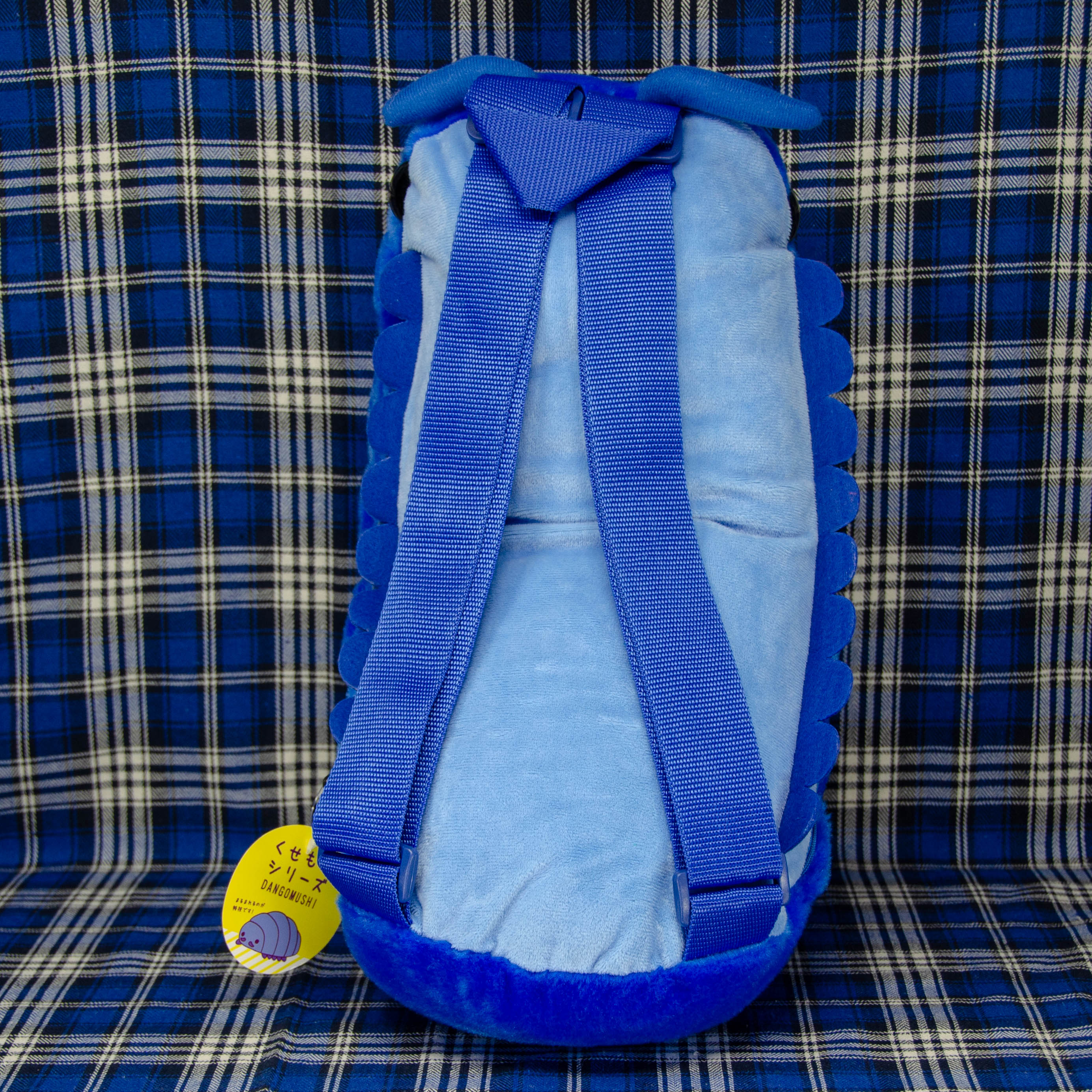 Pillbug Large Backpack with Dual Straps