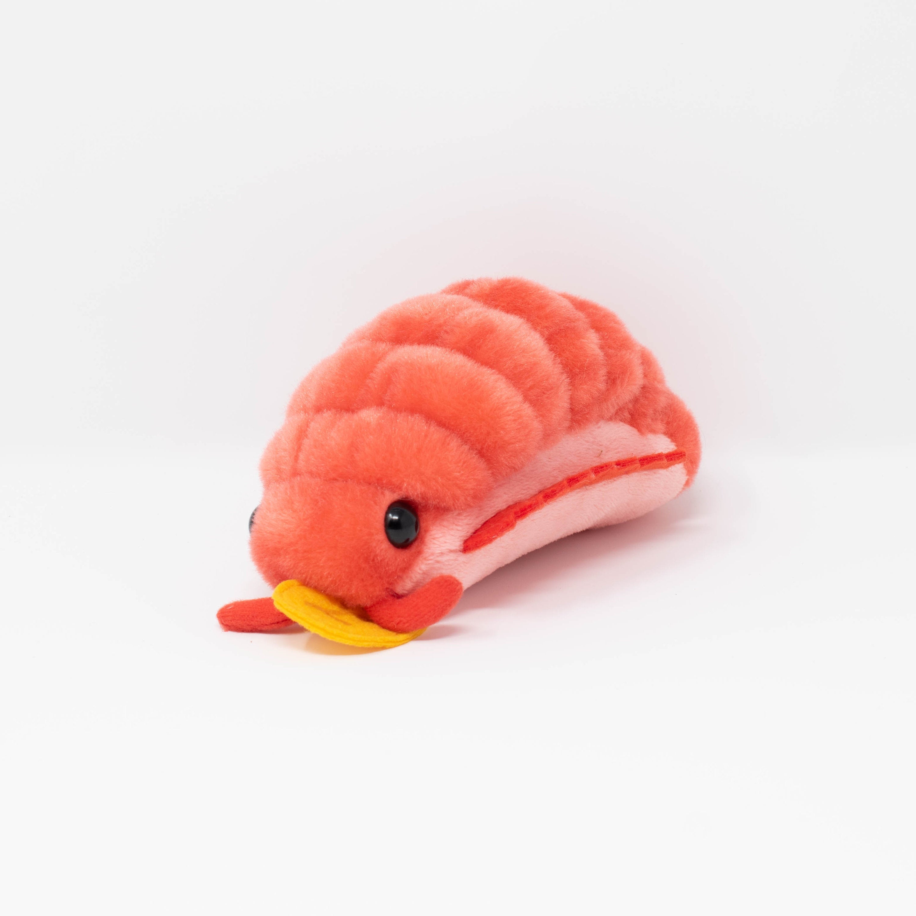 Pillbug Dinner Time! (Small)