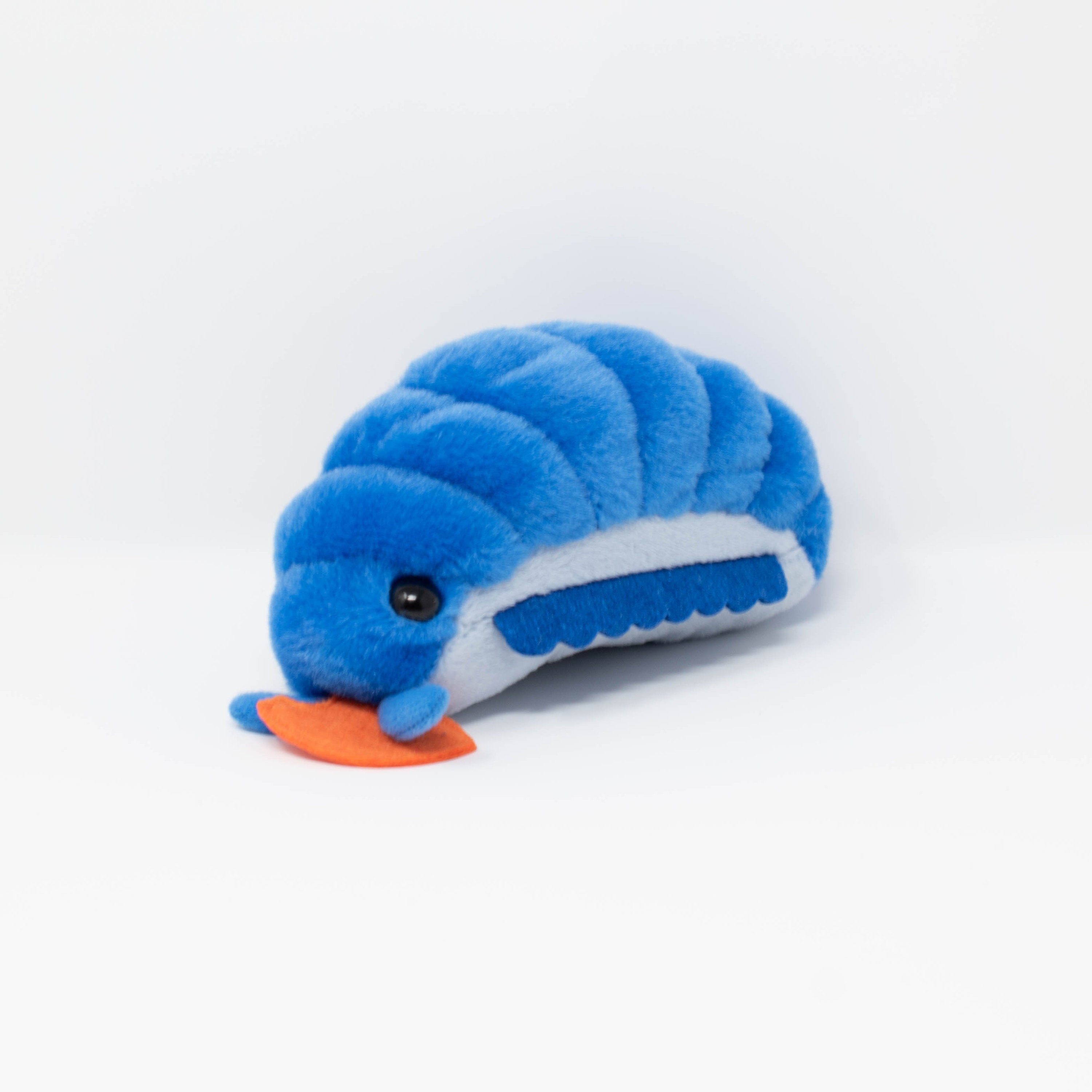 Pillbug Dinner Time! (Small)